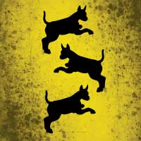 three black dogs on yellow field