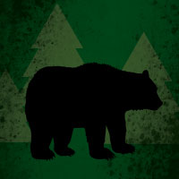 black bear on green wooded field