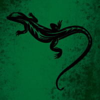 black lizard over green field